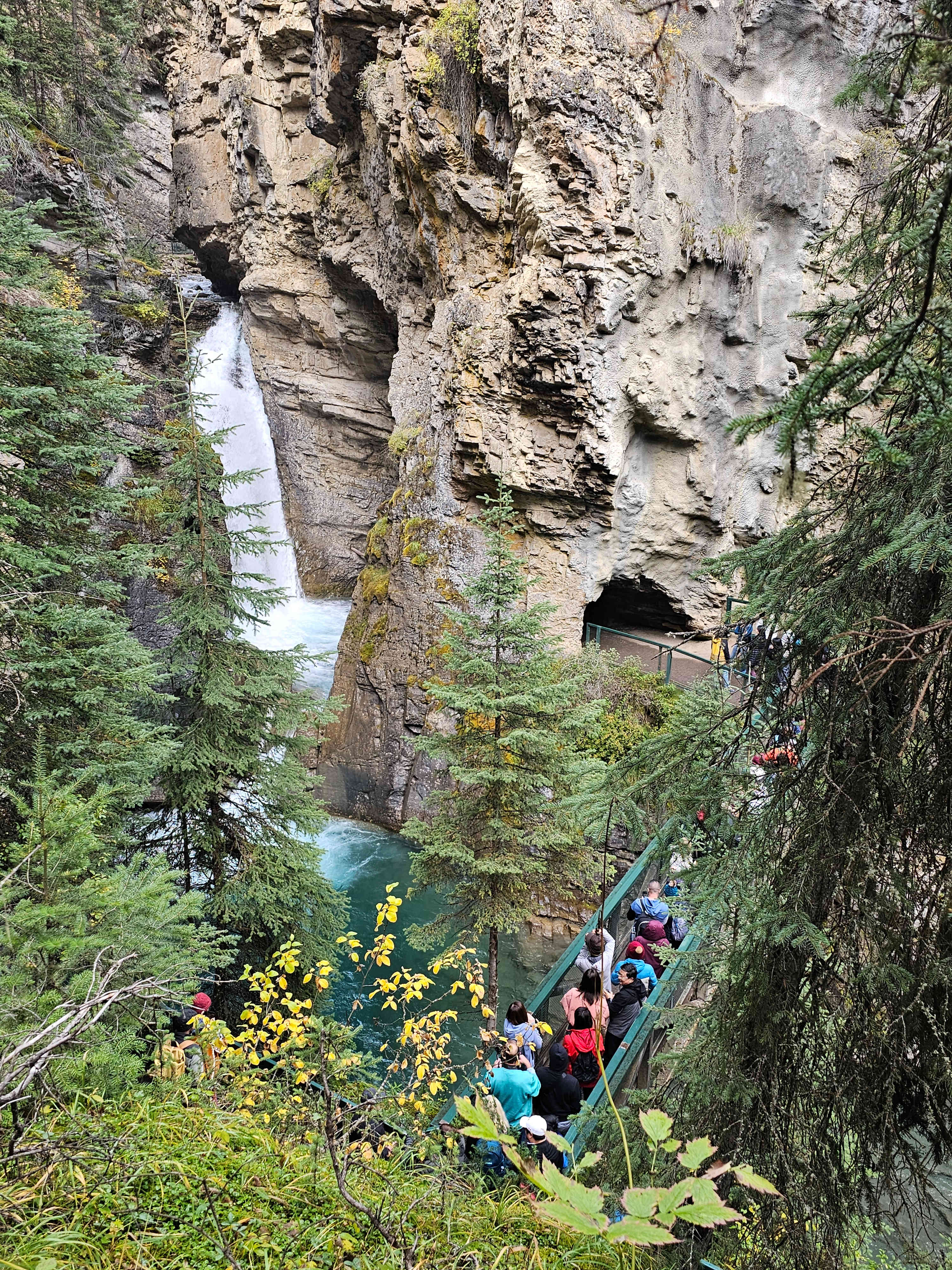 NP Banff